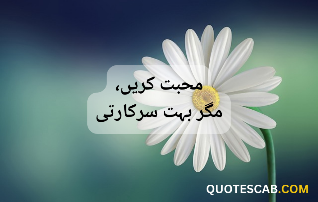 funny quotes in urdu