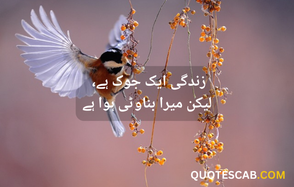 funny quotes in urdu