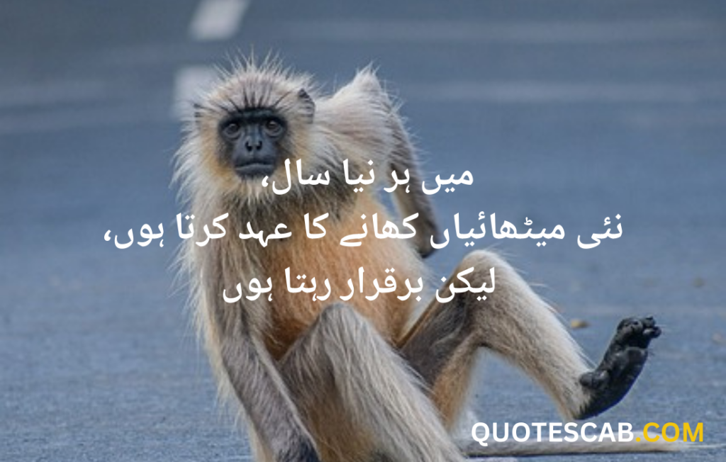 funny quotes