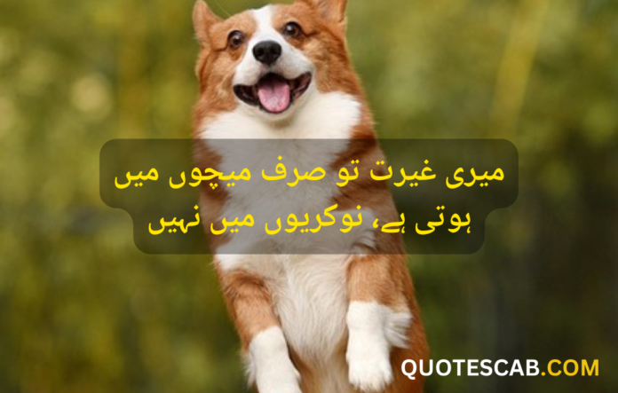 funny quotes