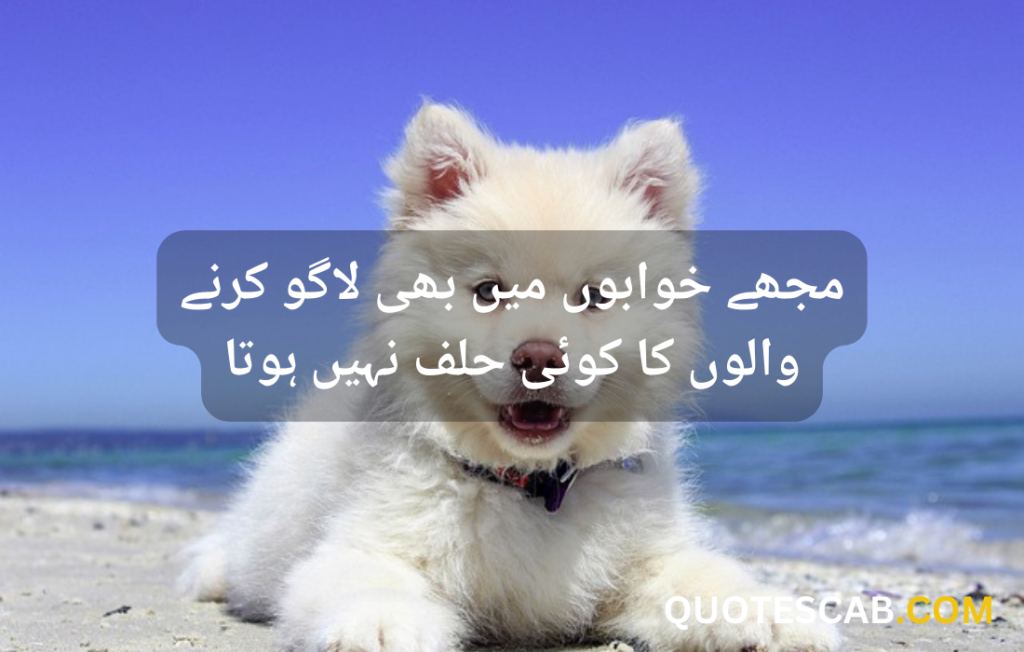 funny quotes in urdu