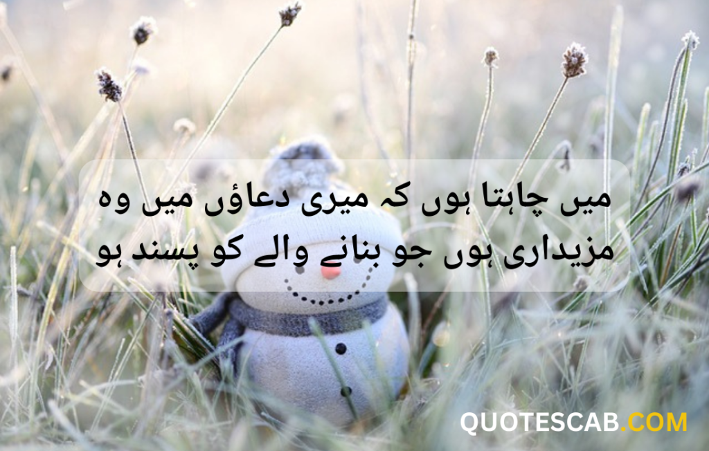 funny quotes in urdu