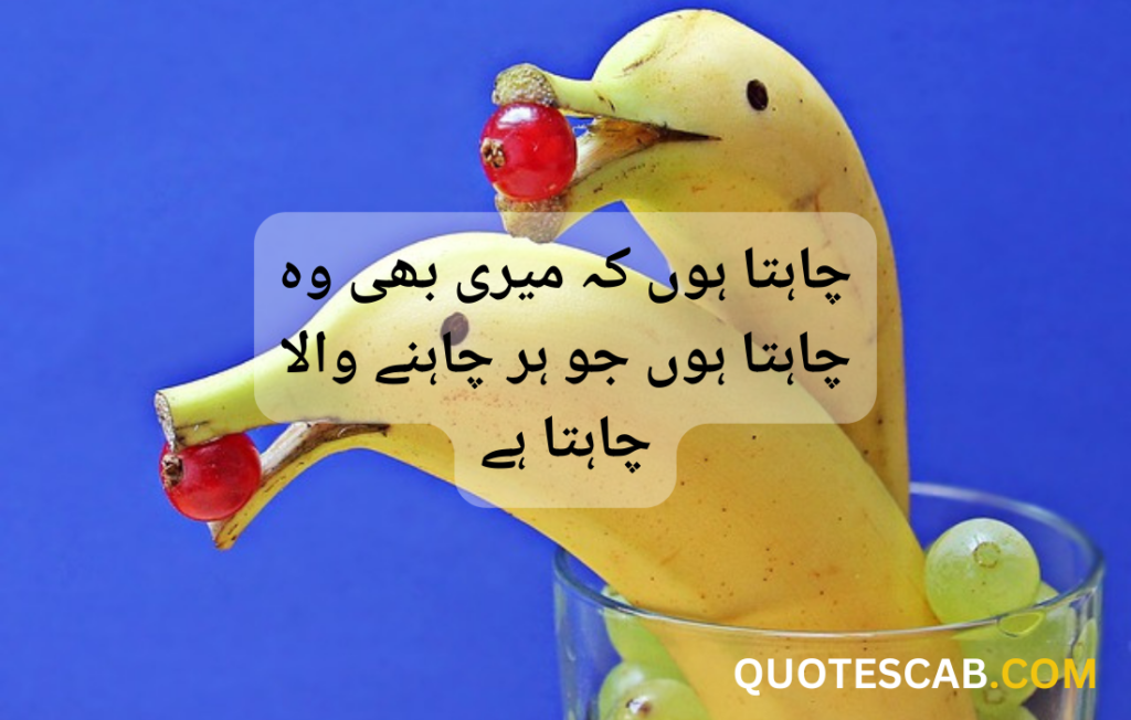 funny quotes in urdu