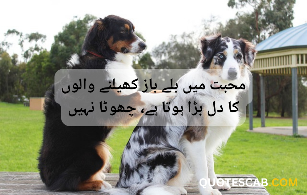 funny quotes in urdu