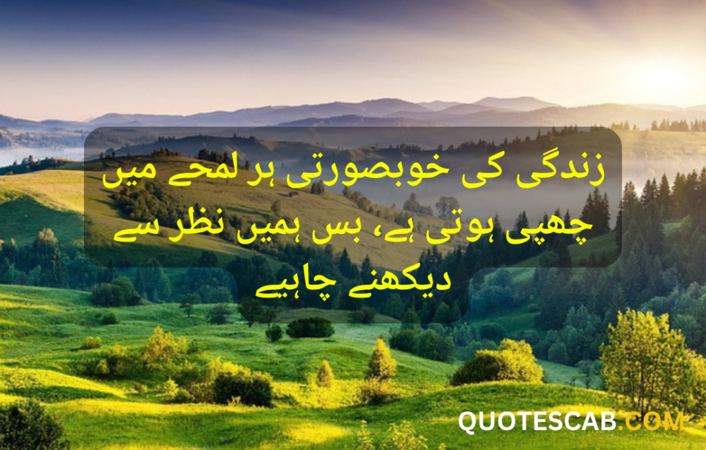 urdu quotes