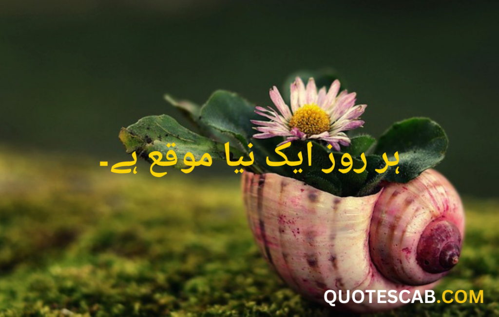 Motivational Quotes in Urdu