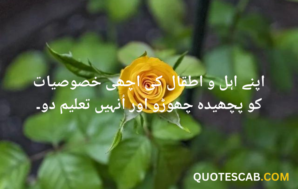 hazrat ali quotes in urdu