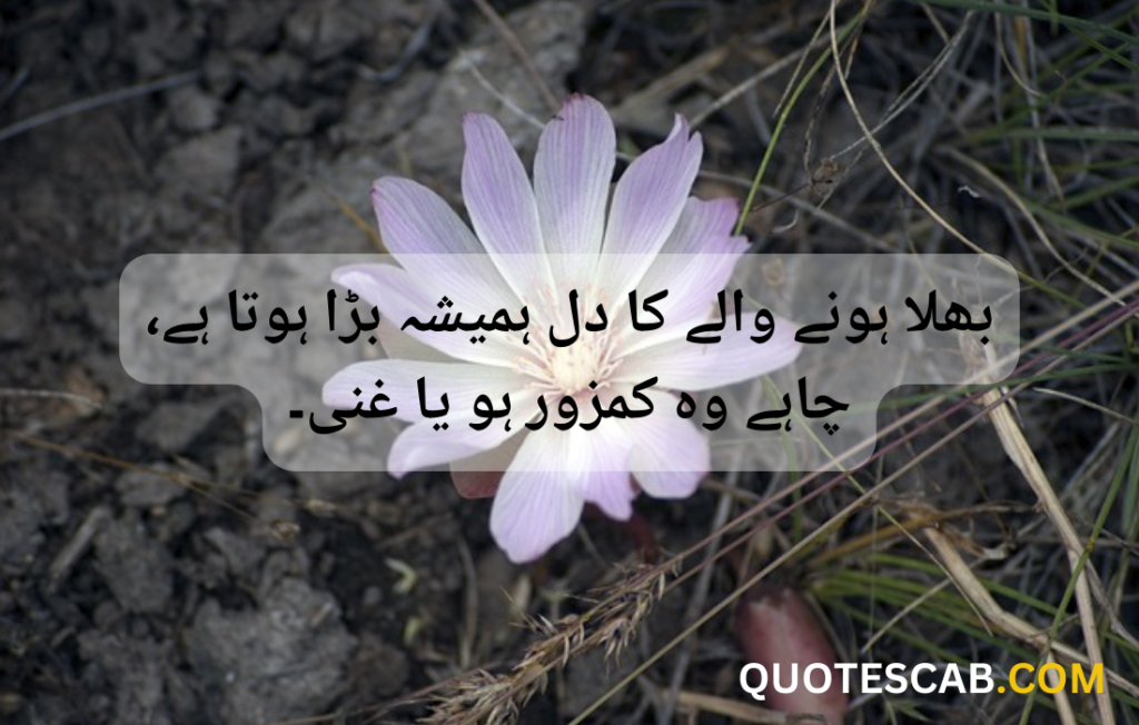 hazrat ali quotes in urdu