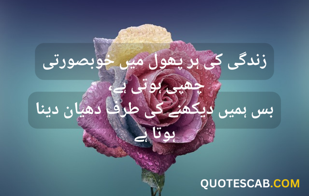 urdu quotes