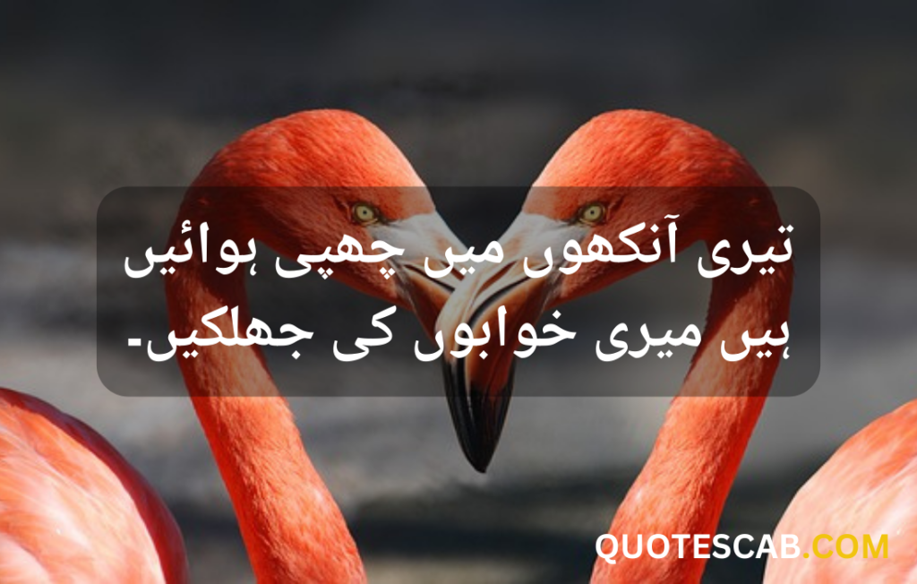 love quotes in urdu