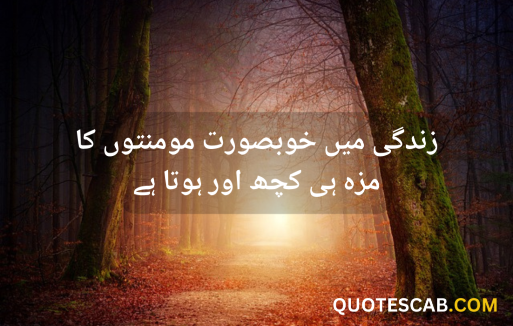 urdu quotes