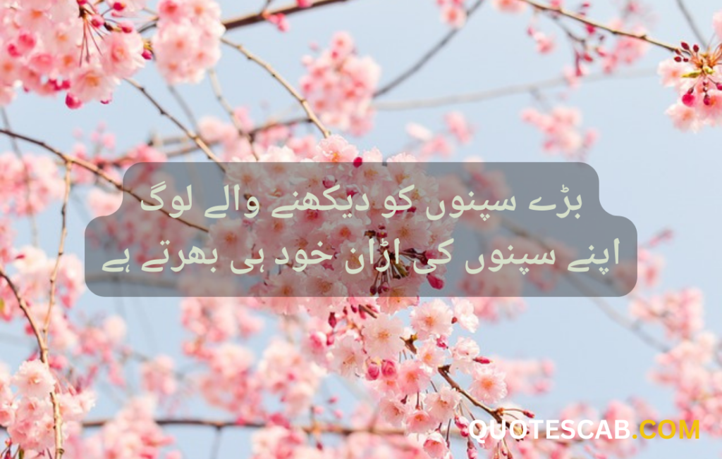 motivational quotes in urdu