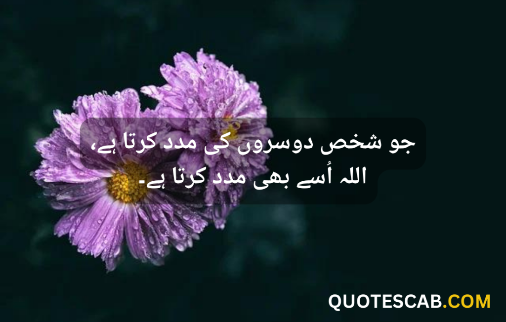 hazrat ali quotes in urdu