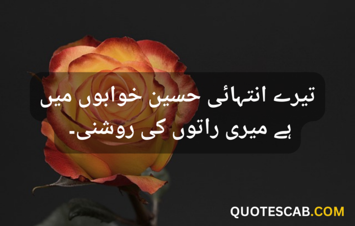 love quotes in urdu