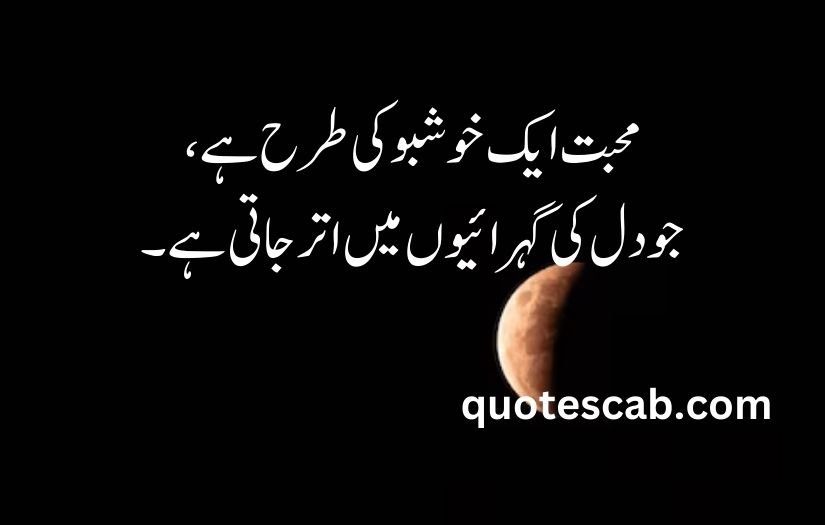 heart touching love quotes in urdu