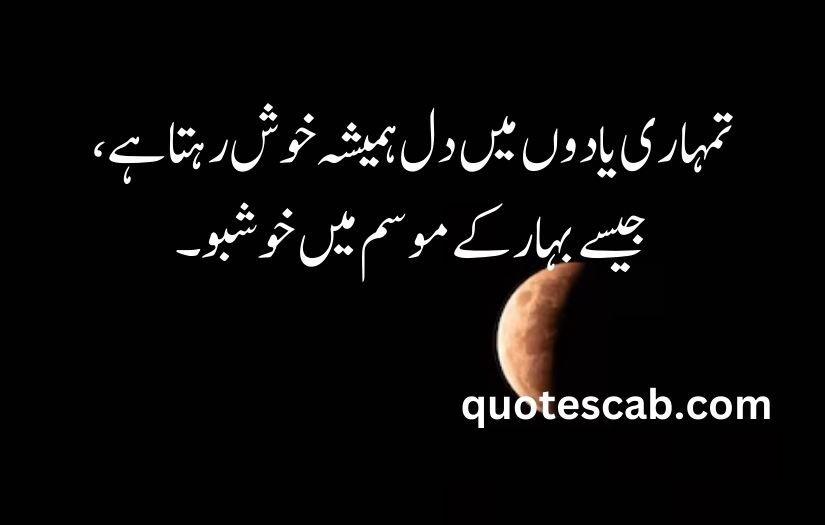 heart touching love quotes in urdu