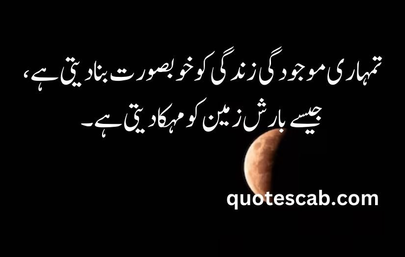 heart touching love quotes in urdu