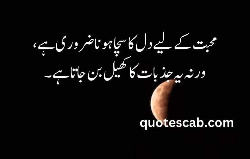 heart touching love quotes in urdu