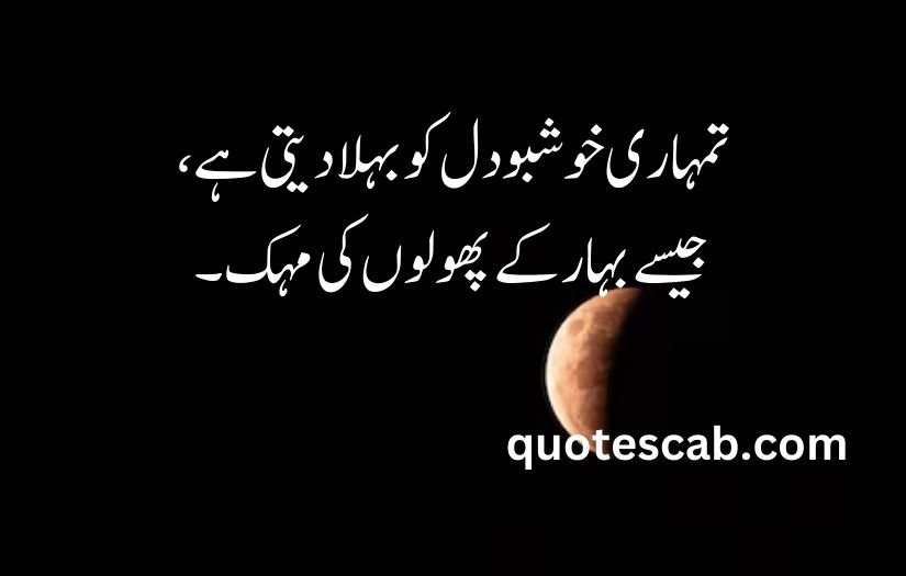 heart touching love quotes in urdu