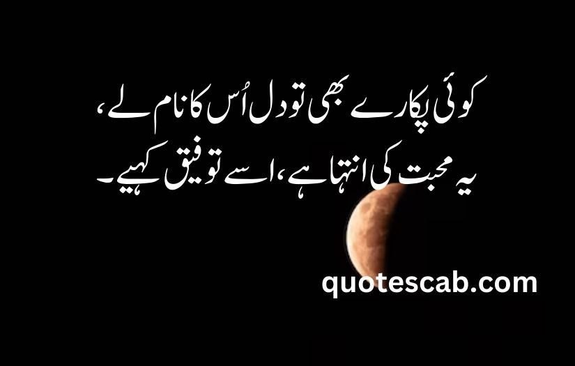 heart touching love quotes in urdu