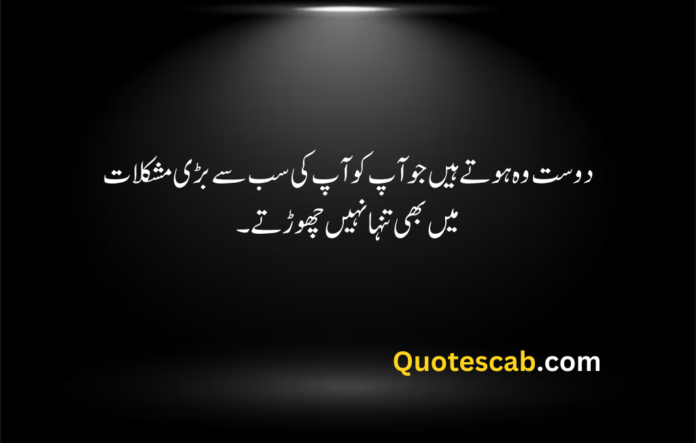 friendship quotes in urdu