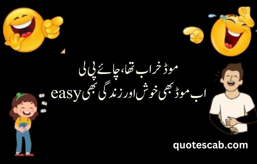 funny shayari in urdu 2 lines