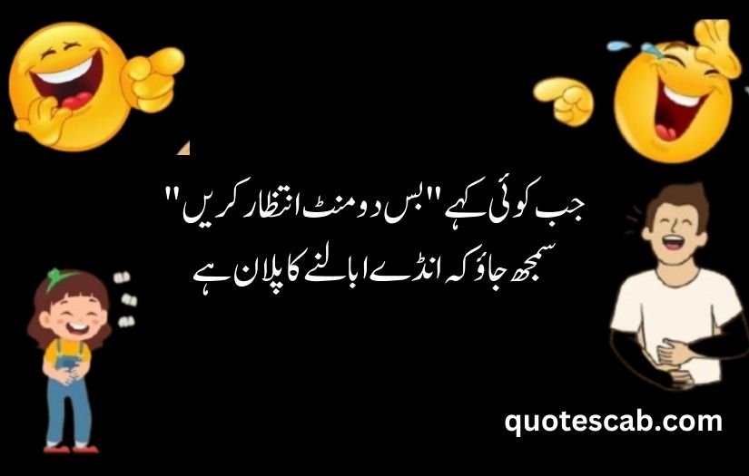 funny shayari in urdu 2 lines