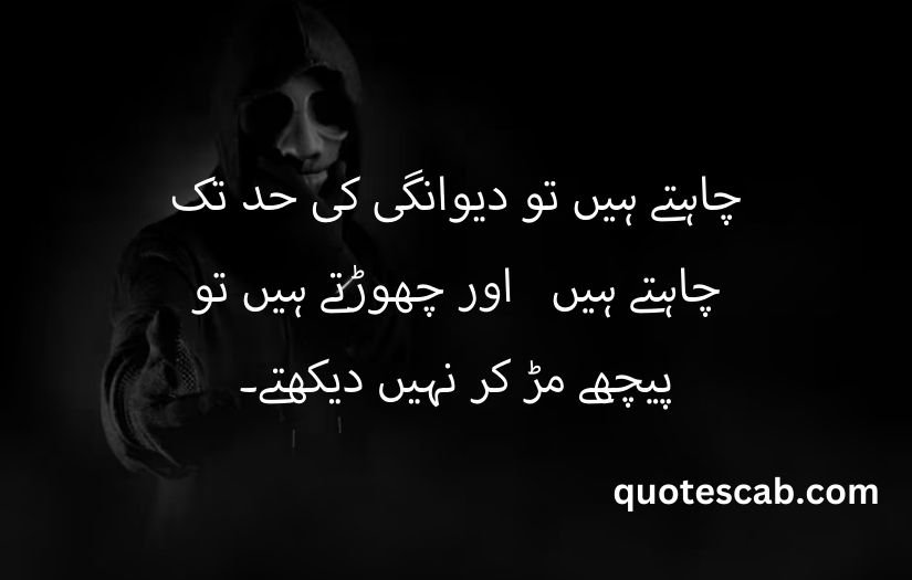 shayari in urdu attitude