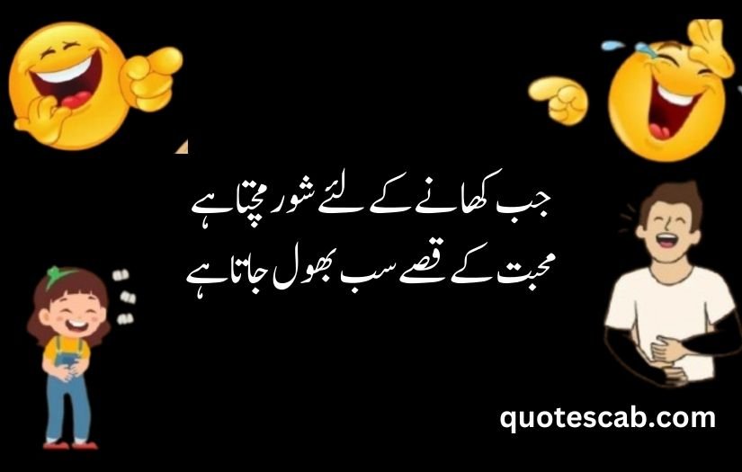 funny shayari in urdu 2 lines