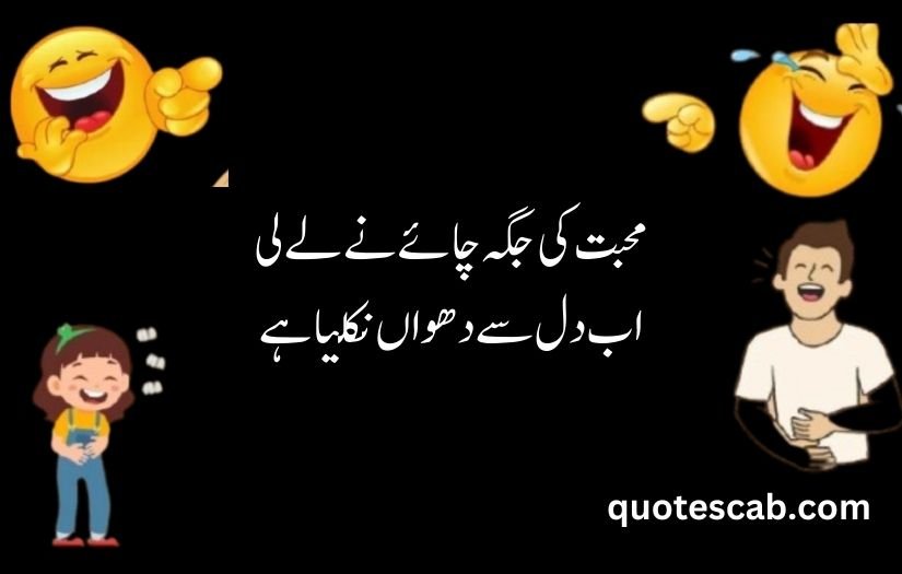 funny shayari in urdu 2 lines