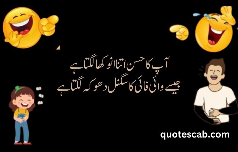 funny shayari in urdu 2 lines