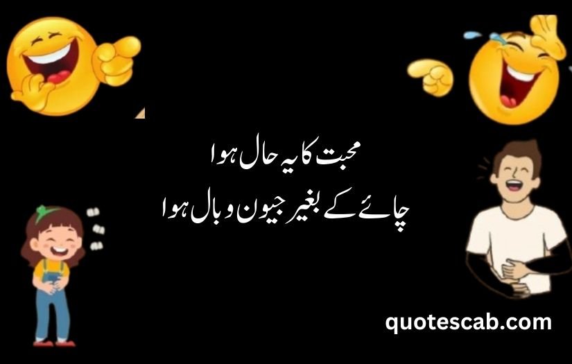 funny shayari in urdu 2 lines