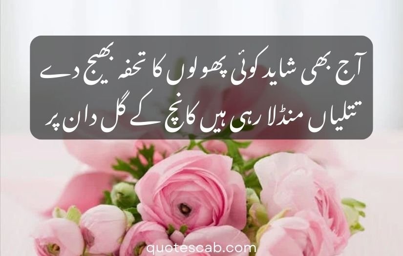 gulab wali shayari