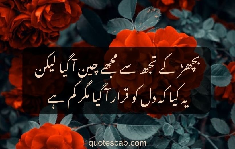 heart touching love poetry in urdu 2 lines