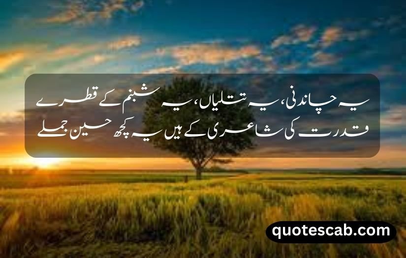 nature quotes in urdu