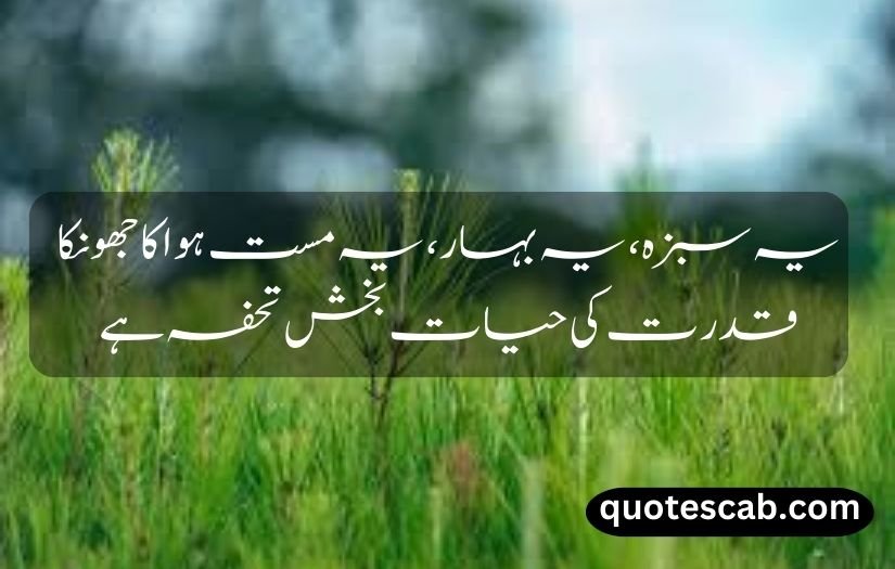 nature quotes in urdu