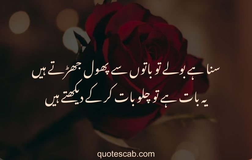 poetry in urdu 2 lines love