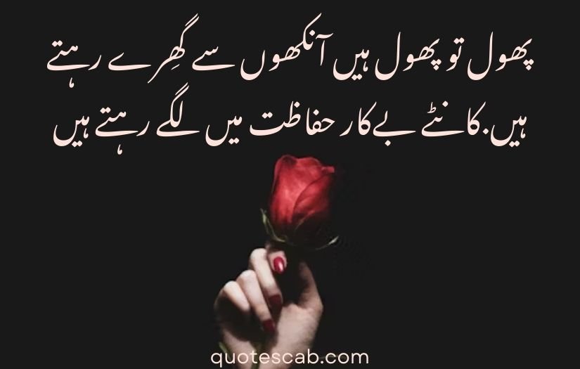 gulab wali shayari