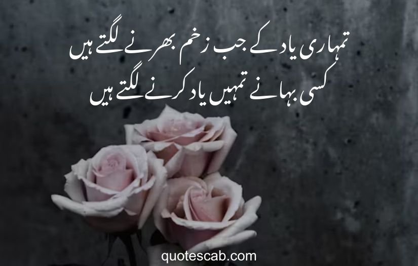 poetry in urdu 2 lines love