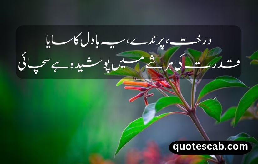 nature quotes in urdu