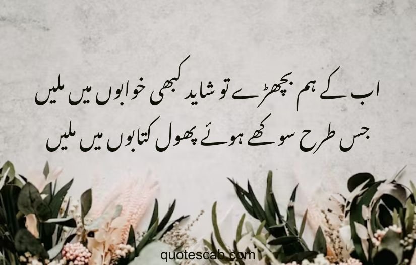 poetry in urdu 2 lines love