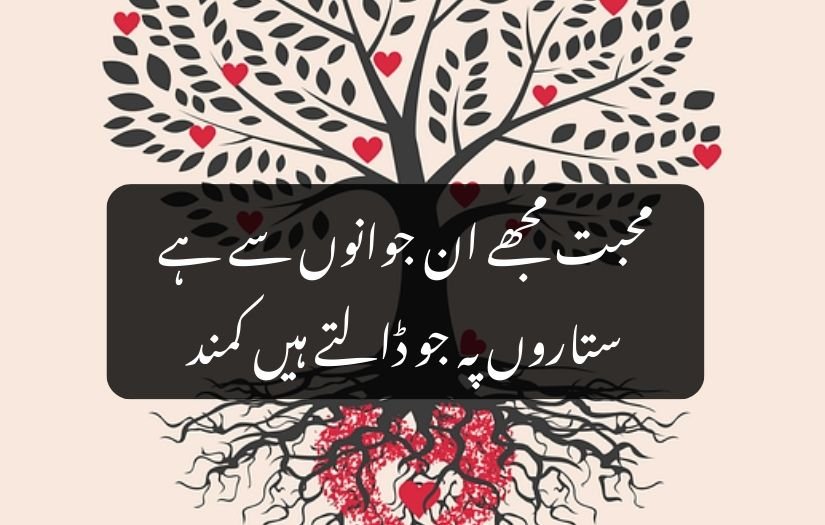 heart touching love poetry in urdu 2 lines