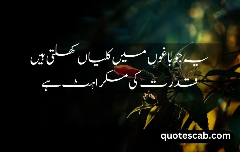 nature quotes in urdu