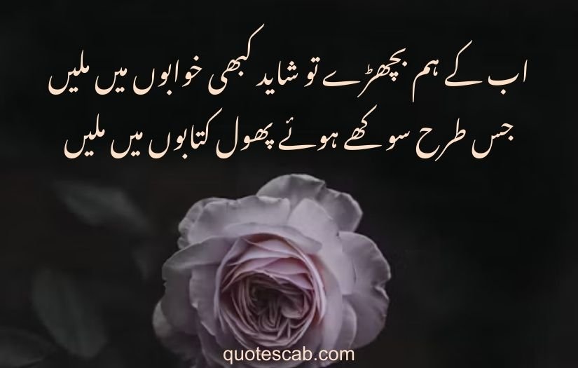 poetry in urdu 2 lines love