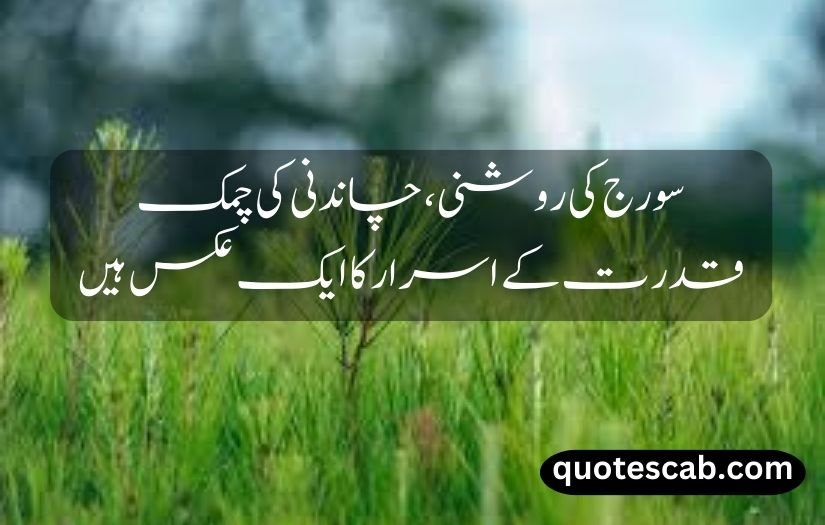 nature quotes in urdu