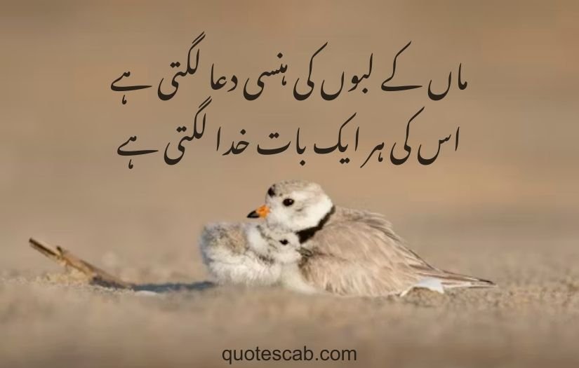 mom poetry in urdu