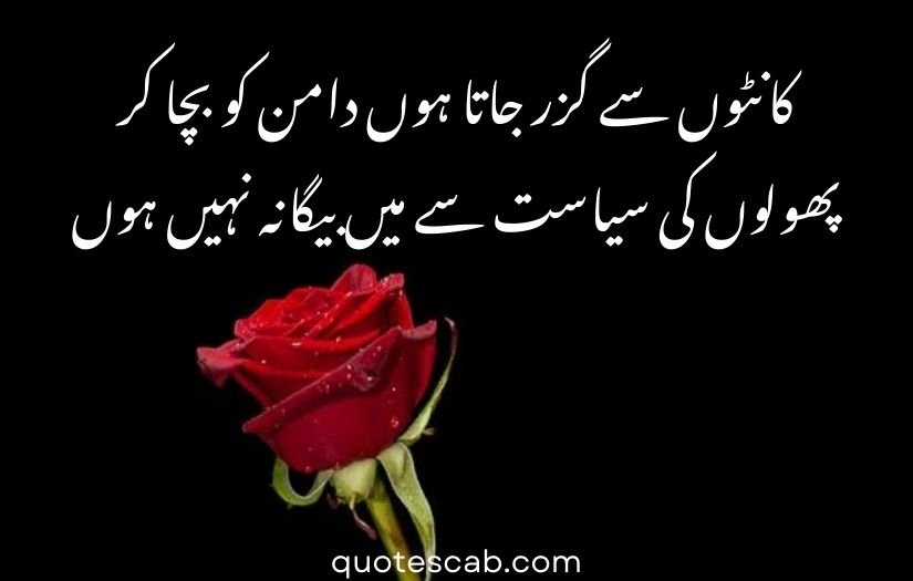 gulab wali shayari