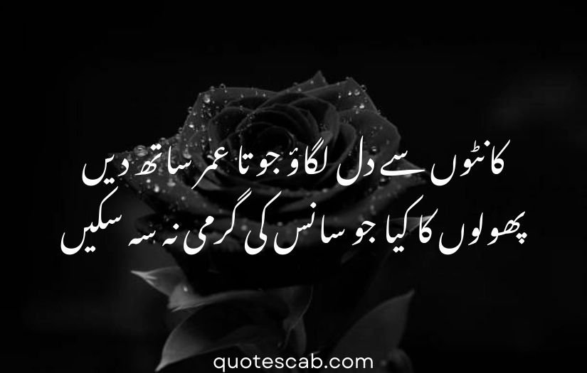 gulab wali shayari