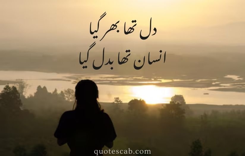 matlabi rishte quotes in urdu