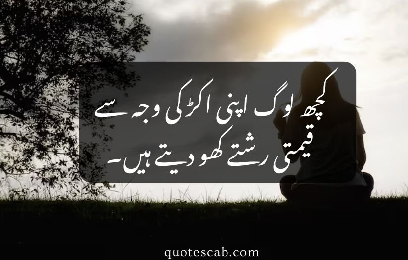 matlabi rishte quotes in urdu